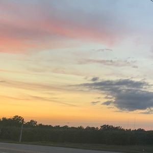 Meet your Posher, Daisy